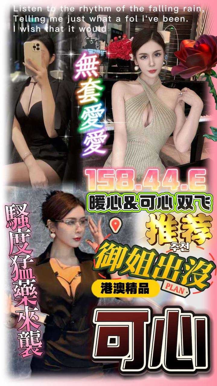 台中西屯 北區定點